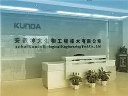 一呼百應(yīng) 技術(shù)賦能，智聯(lián)未來(lái)——上海技術(shù)咨詢(xún)頻道解析