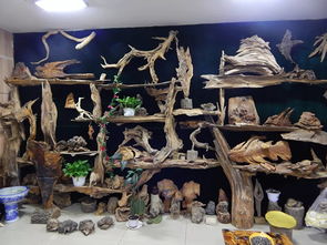 雙鴨山市第八屆工藝美術創新作品暨旅游紀念品展銷會隆重開幕，本土工藝精品薈萃展風采